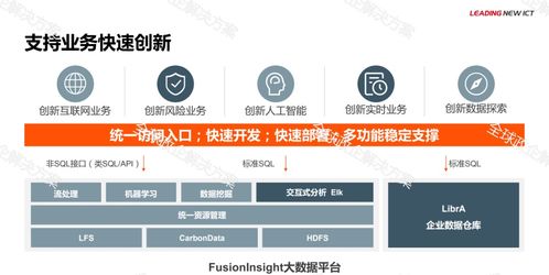 華為金融大數(shù)據(jù)解決方案的軟件開(kāi)發(fā)實(shí)踐
